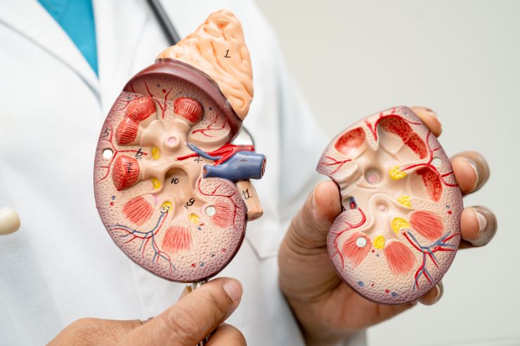 Chronic Kidney Failure